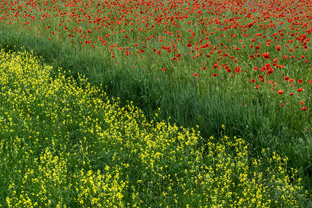 Fotos-Radreise-Baltikum