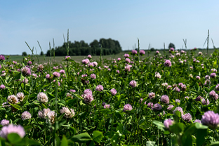 Fotos-Radreise-Baltikum