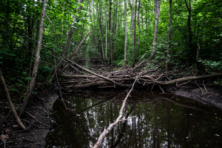 Fotos-Radreise-Baltikum