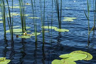 Fotos-Radreise-Baltikum