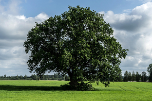 Fotos-Radreise-Baltikum