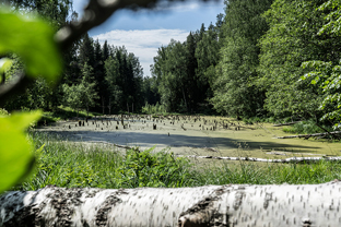 Fotos-Radreise-Baltikum