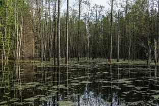 Fotos-Radreise-Baltikum