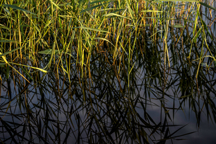 Fotos-Radreise-Baltikum