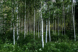 Fotos-Radreise-Baltikum