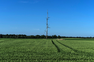 Fotos-Radreise-Baltikum