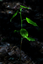 Fotos-Radreise-Baltikum