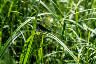 Fotos-Radreise-Baltikum