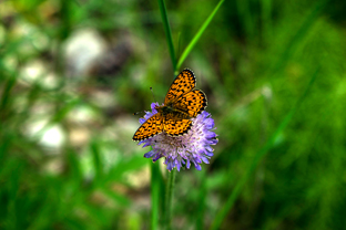 Fotos-Radreise-Baltikum