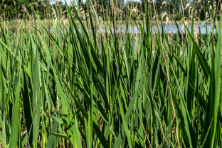 Fotos-Radreise-Baltikum