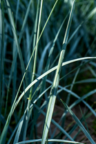 Fotos-Radreise-Baltikum