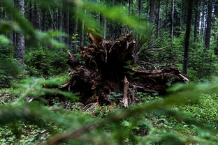 Fotos-Radreise-Baltikum