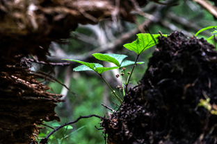 Fotos-Radreise-Baltikum