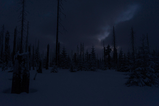 Winter-Boehmer-Wald