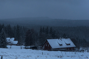 Winter-Boehmer-Wald