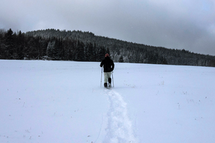 Winter-Boehmer-Wald