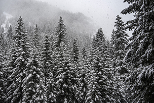 Winter-Bulgarien-Pirin