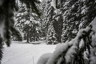 Winter-Bulgarien-Pirin