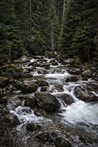 Winter-Bulgarien-Pirin