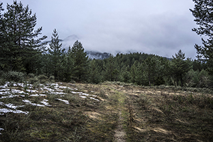 Winter-Bulgarien-Pirin