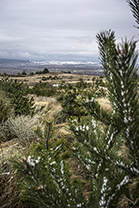 Winter-Bulgarien-Pirin