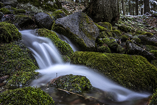 Winter-Bulgarien-Pirin