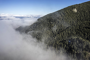 Winter-Bulgarien-Pirin