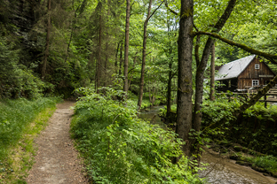 Fotos-Wandern-Elbsandsteingebirge