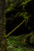 Fotos-Wandern-Elbsandsteingebirge