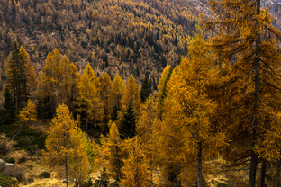 Fotos-Valli-Giudicarie