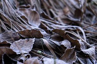 Fotos-Valli-Giudicarie