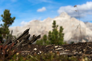 Fotos-Valli-Giudicarie