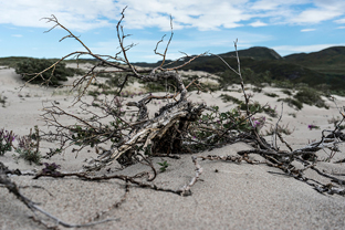 Fotos-Arctic-Circle-Trail