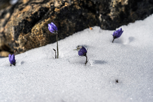 Fotos-Arctic-Circle-Trail