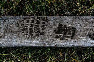 Fotos-Arctic-Circle-Trail