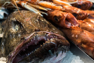 Fotos-Arctic-Circle-Trail