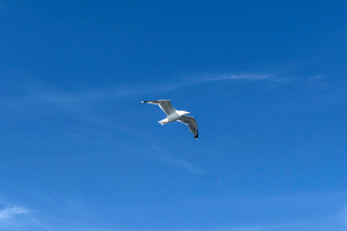 Fotos-Arctic-Circle-Trail