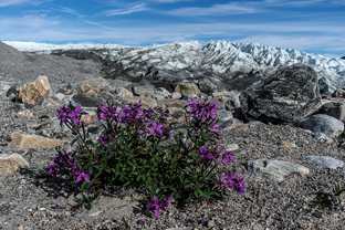 Fotos-Arctic-Circle-Trail