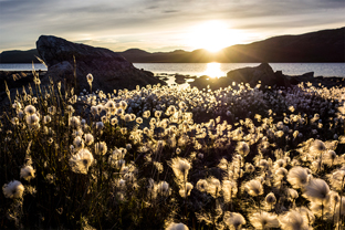 Fotos-Arctic-Circle-Trail