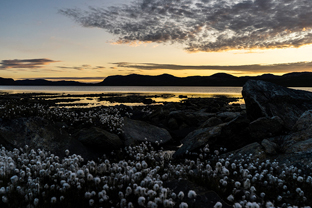 Fotos-Arctic-Circle-Trail