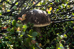 Fotos-Arctic-Circle-Trail