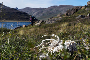 Fotos-Arctic-Circle-Trail