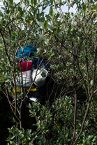 Fotos-Arctic-Circle-Trail