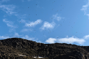 Fotos-Arctic-Circle-Trail