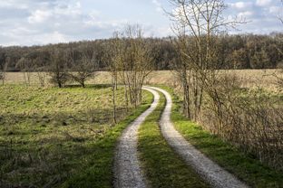 Fotos-Nationalpark-Hainich
