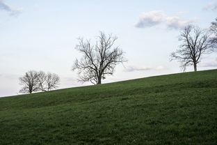 Fotos-Nationalpark-Hainich