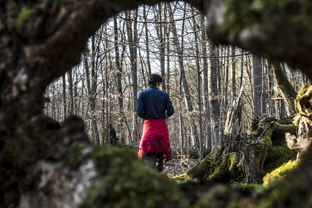 Fotos-Nationalpark-Hainich