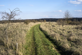 Fotos-Nationalpark-Hainich