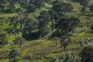 Fotos-Schottische-Highlands