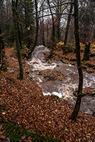 Fotos-Eifel-Hohes-Venn